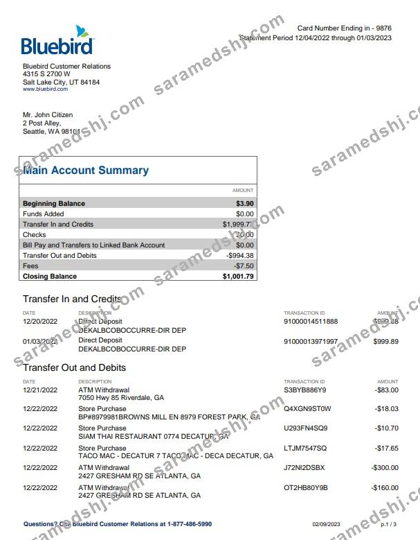 USA Bluebird bank statement Word and PDF template, 3 pages